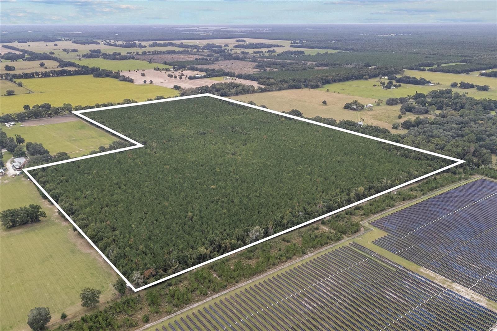 Image 2 of 8 For Tbd 142nd Avenue