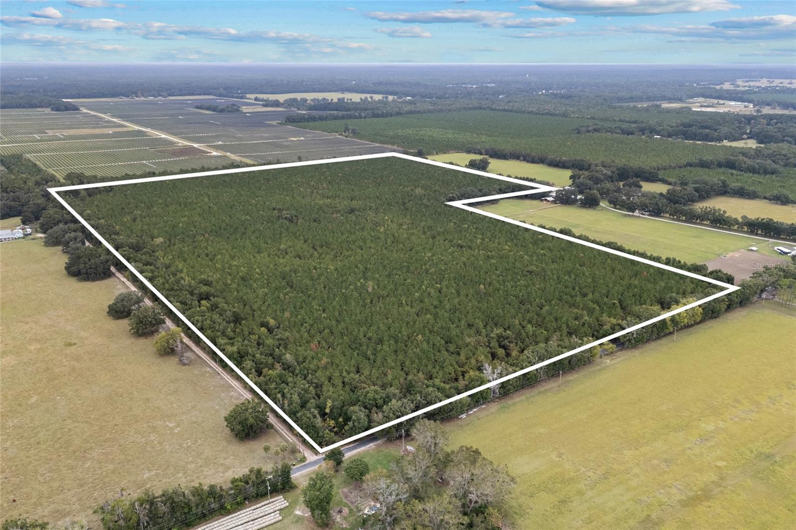 Image 4 of 8 For Tbd 142nd Avenue