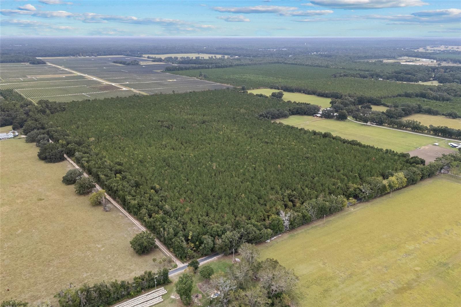 Image 5 of 8 For Tbd 142nd Avenue