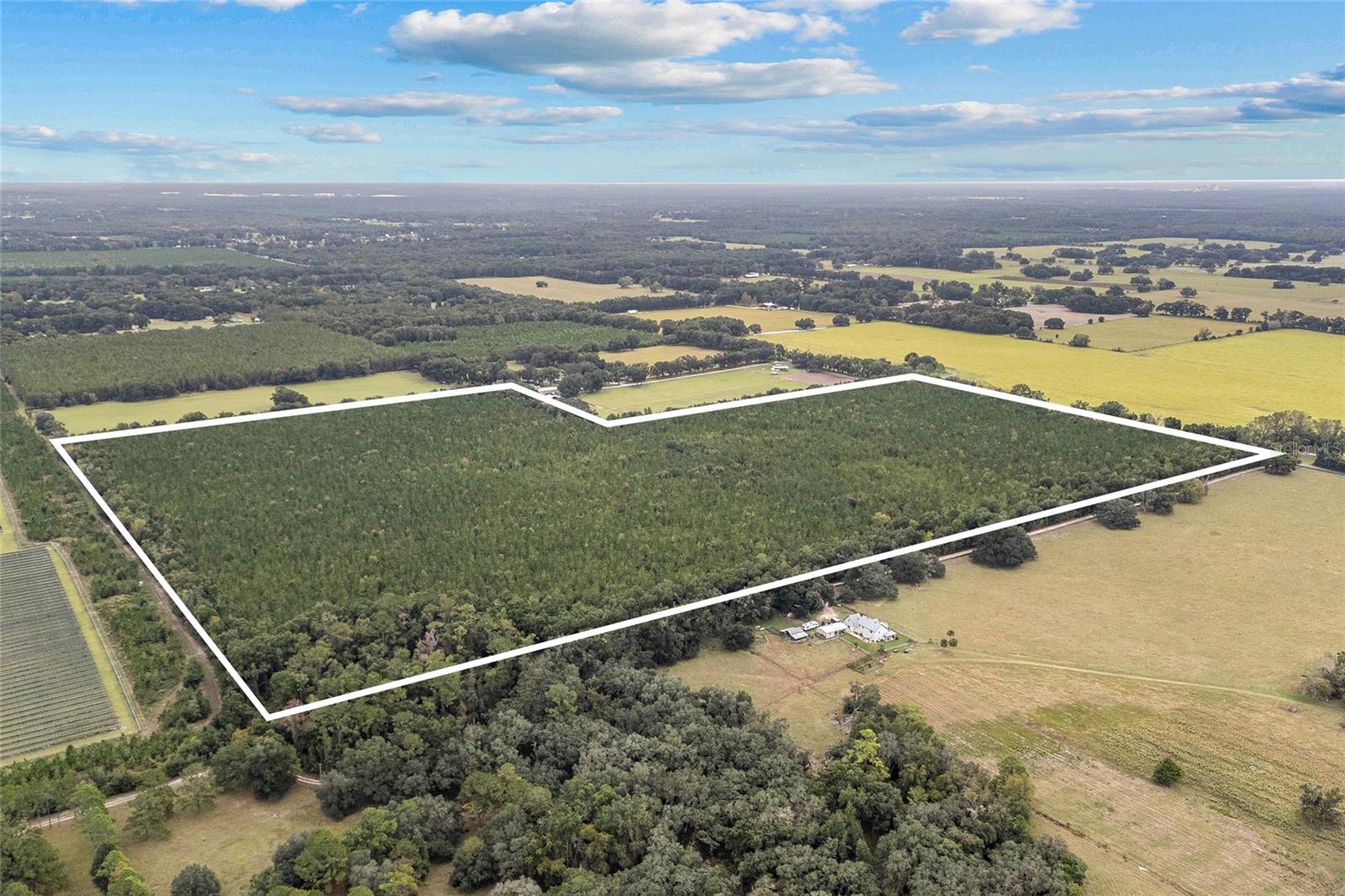 Image 6 of 8 For Tbd 142nd Avenue