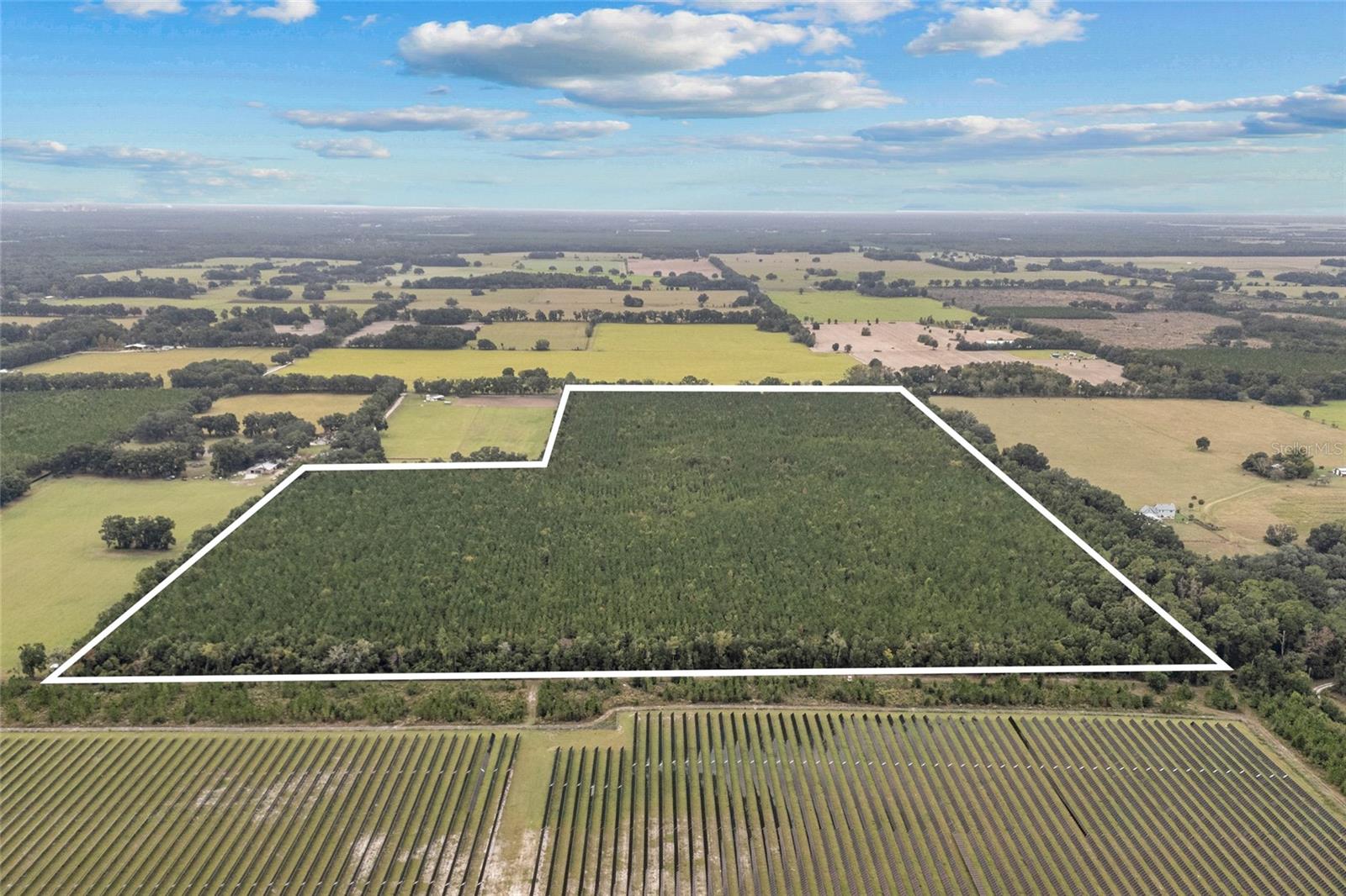 Image 7 of 8 For Tbd 142nd Avenue