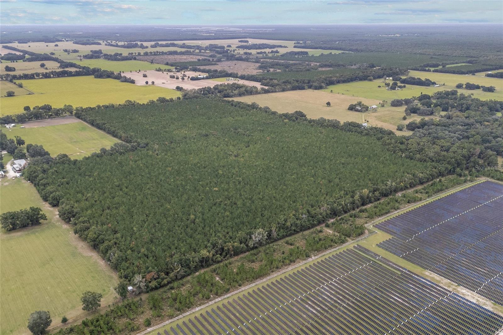 Image 8 of 8 For Tbd 142nd Avenue