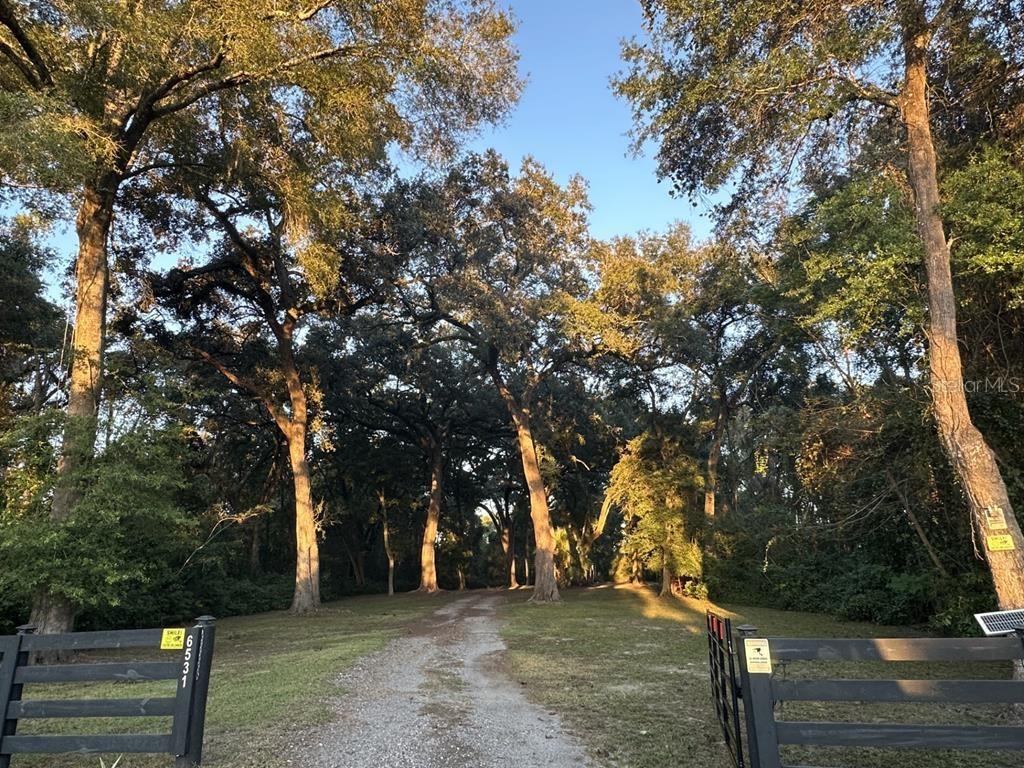 Image 18 of 56 For 6531 82nd Court