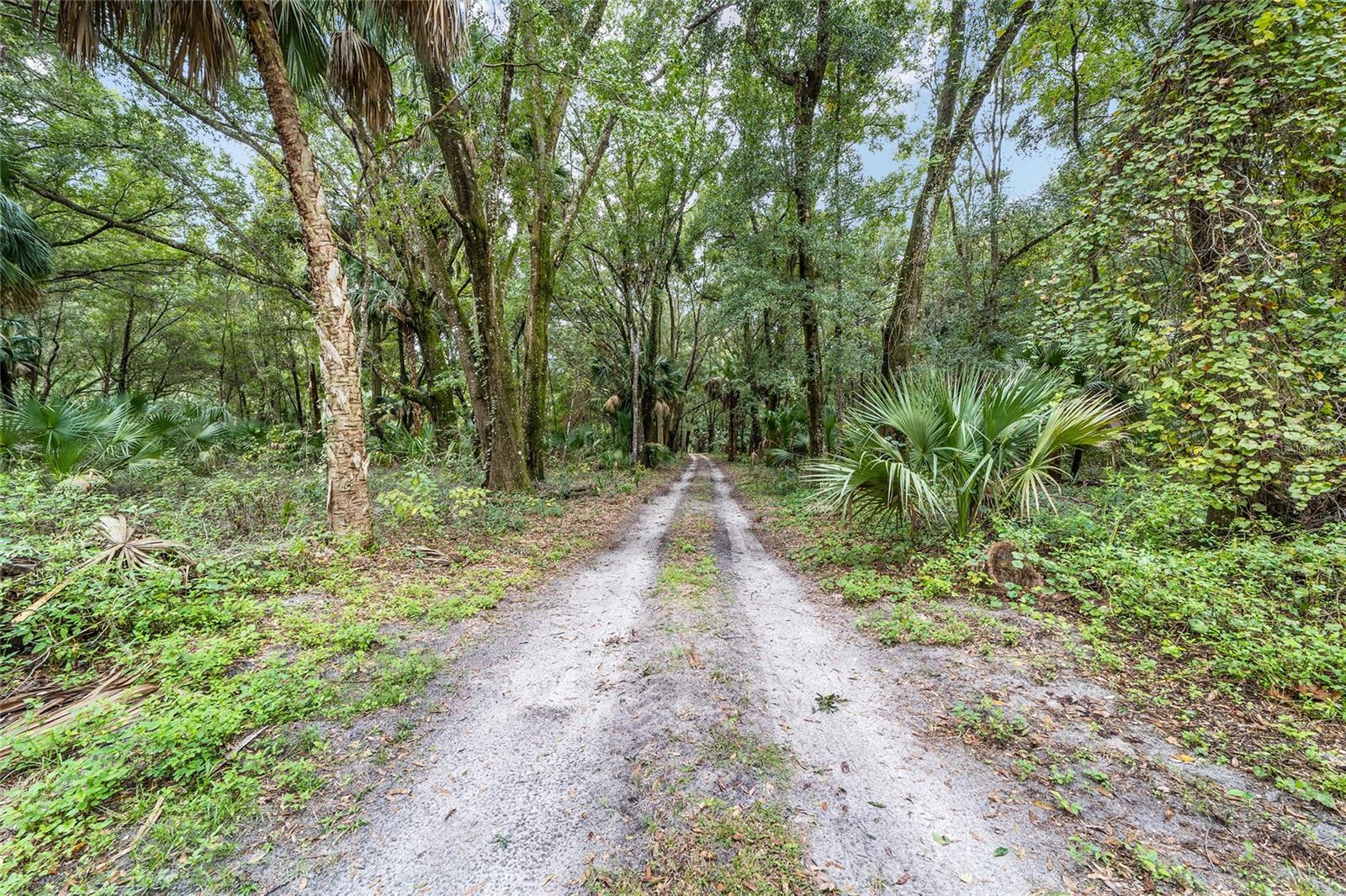 Image 42 of 87 For 19189 Us Highway 301