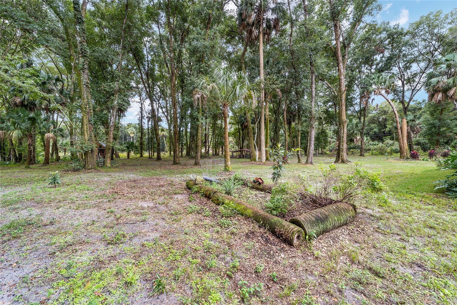 Image 63 of 87 For 19189 Us Highway 301