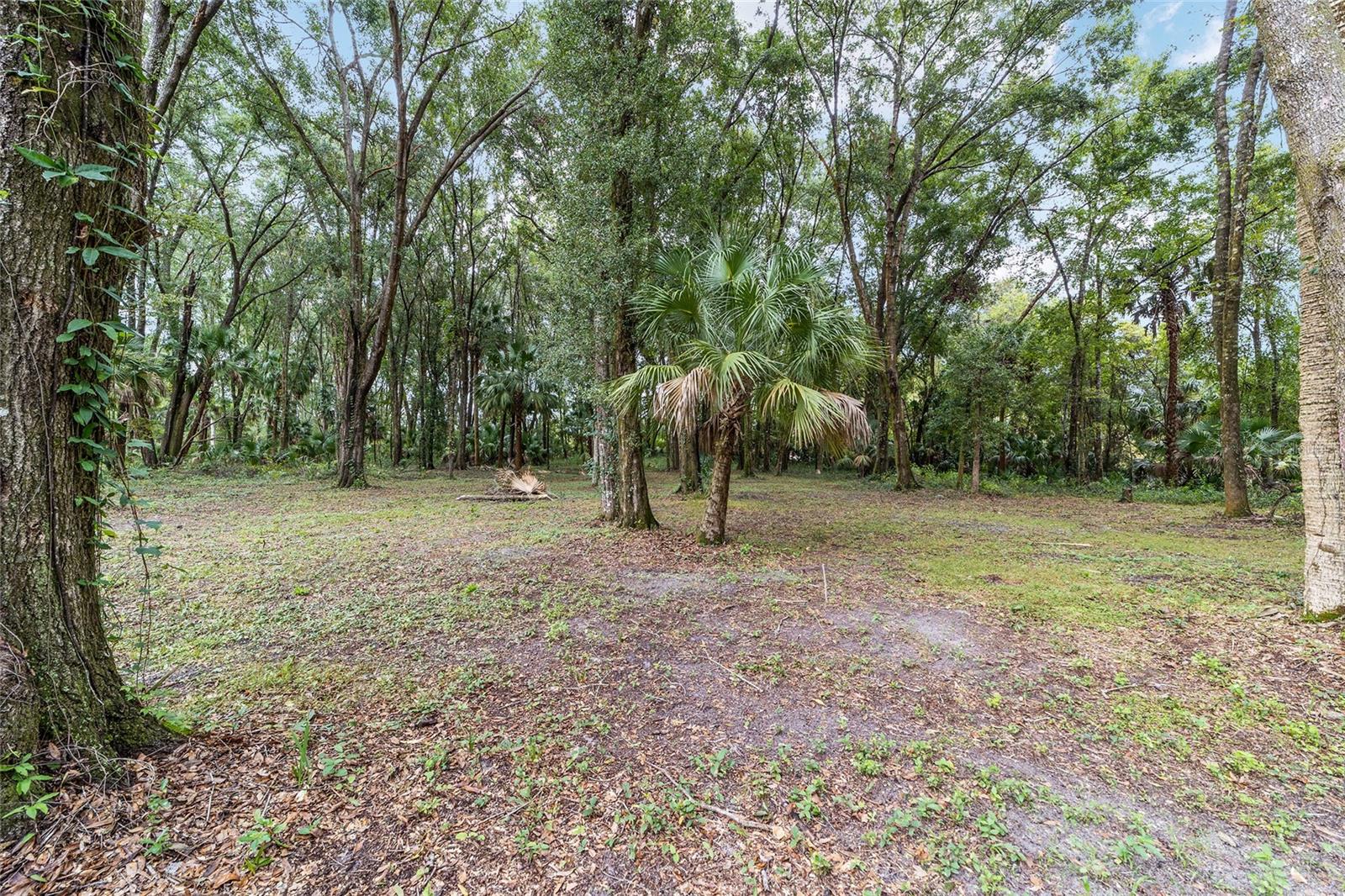 Image 64 of 87 For 19189 Us Highway 301