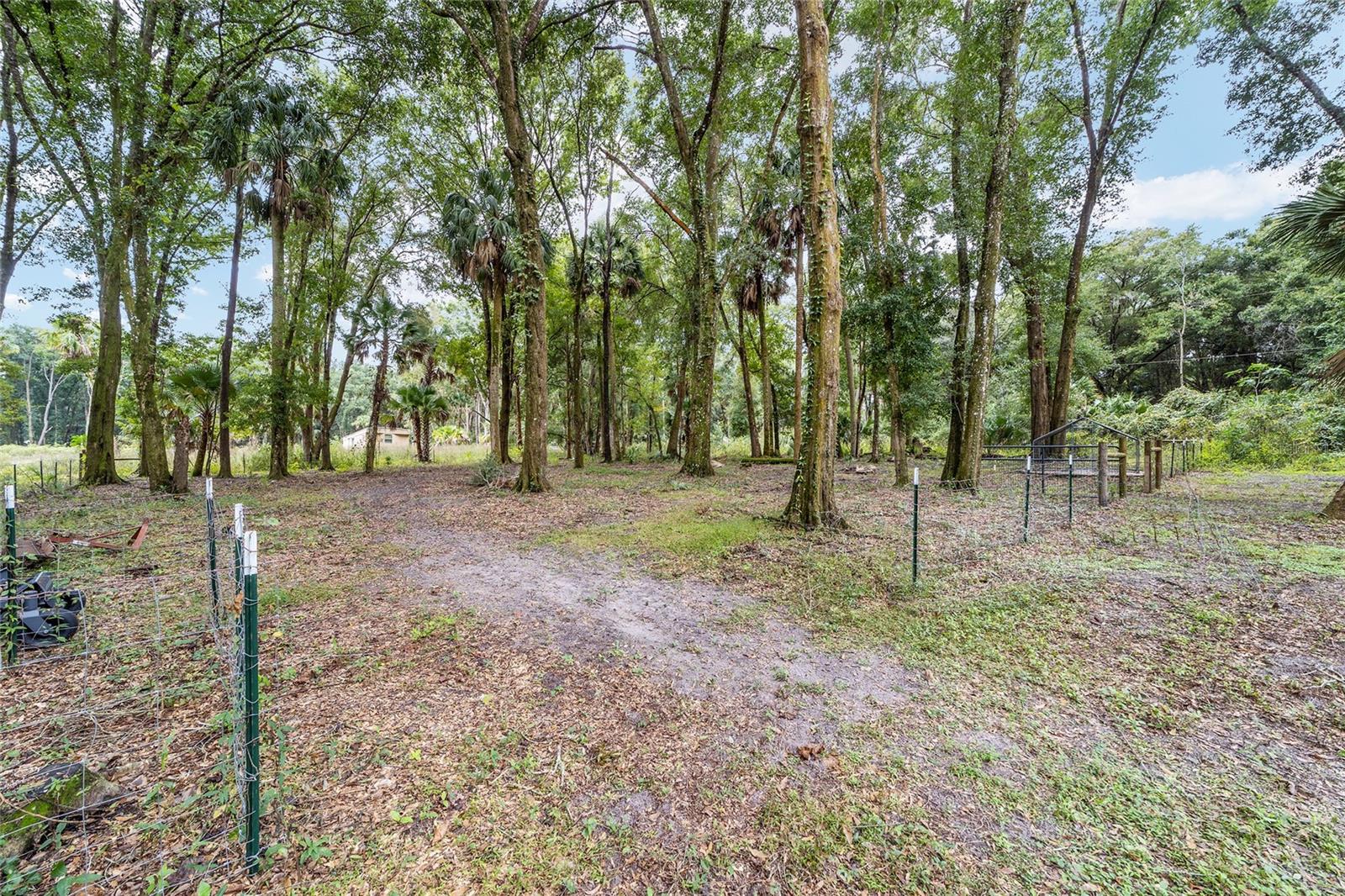 Image 67 of 87 For 19189 Us Highway 301