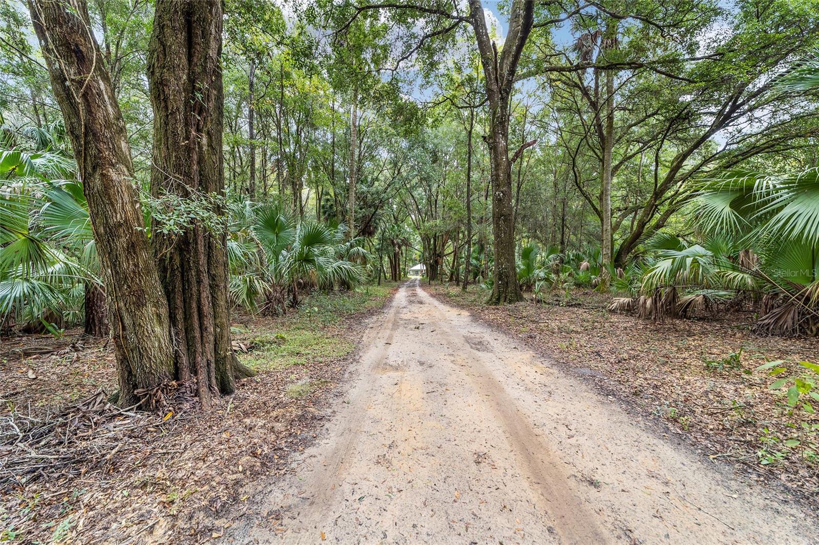 Image 69 of 87 For 19189 Us Highway 301