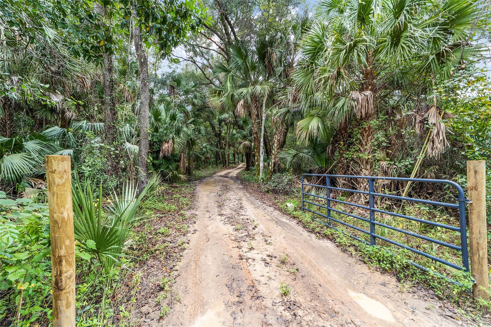 Image 70 of 87 For 19189 Us Highway 301