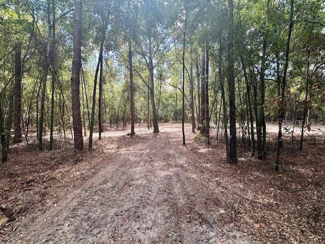 Image 12 of 15 For  20th Street 