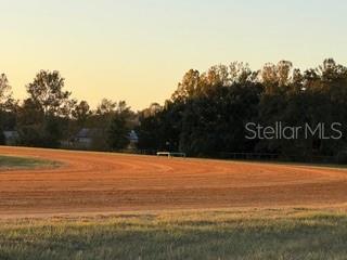 Image 14 of 15 For  20th Street 