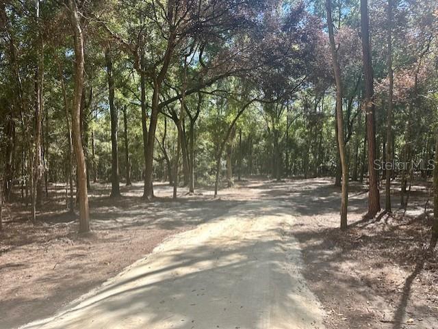 Image 7 of 15 For  20th Street 