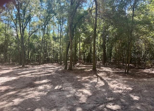 Image 8 of 15 For  20th Street 