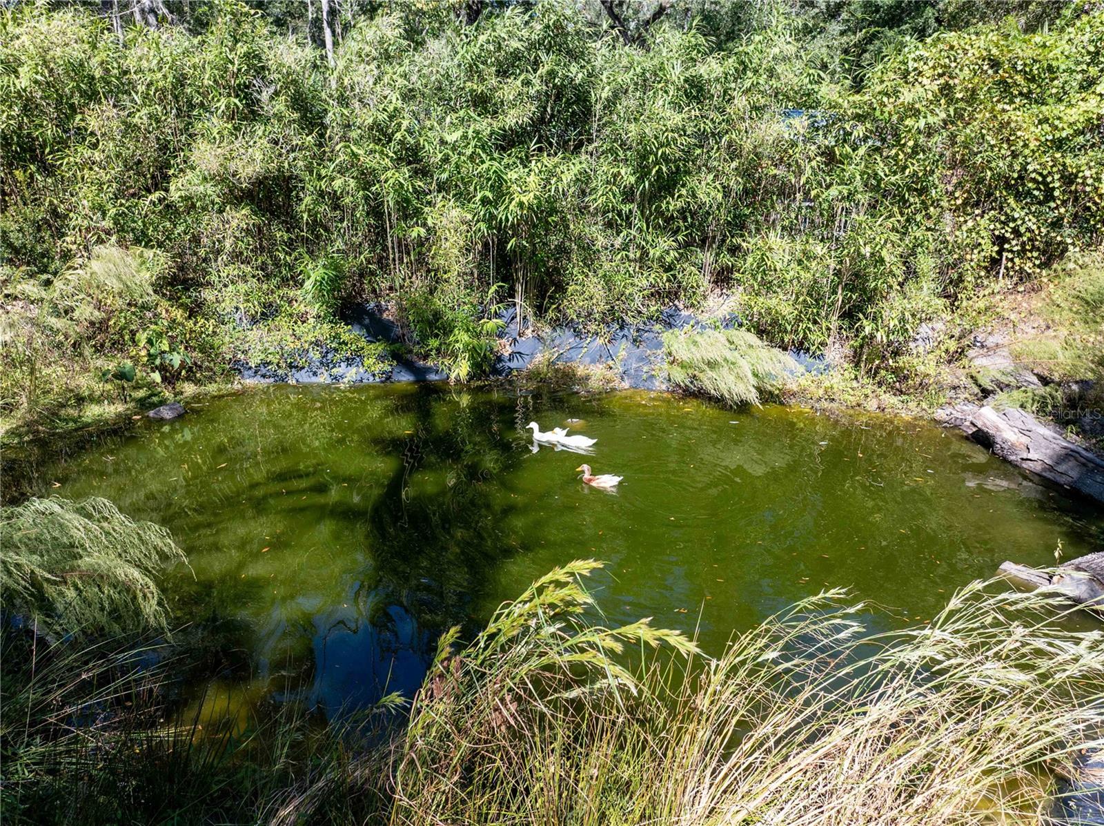 Image 35 of 51 For 3039 113th Road