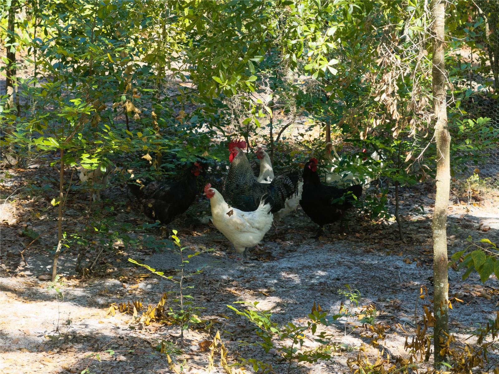 Image 37 of 51 For 3039 113th Road