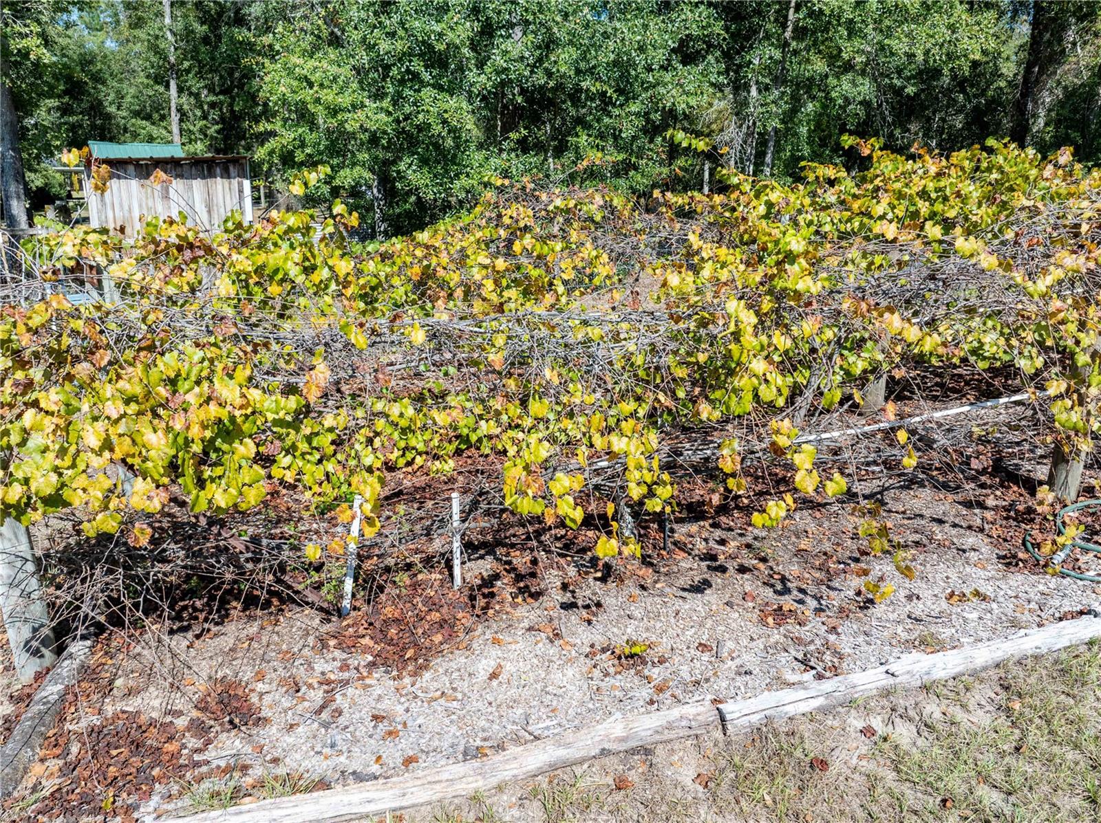 Image 46 of 51 For 3039 113th Road