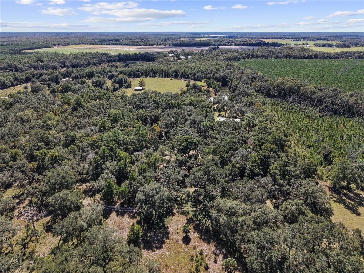 Image 31 of 41 For 966 818th Street