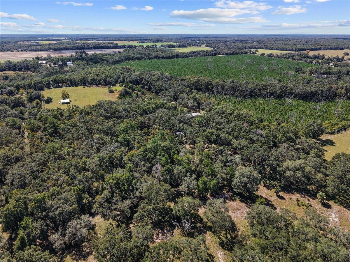 Image 34 of 41 For 966 818th Street