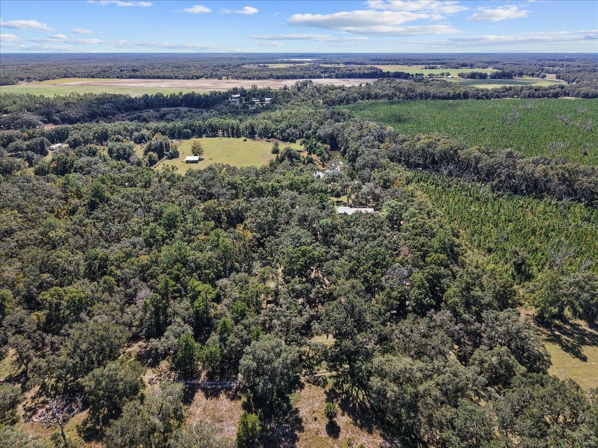 Image 37 of 41 For 966 818th Street