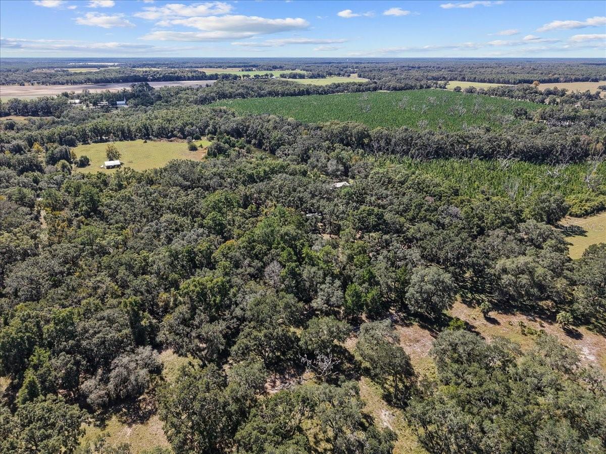 Image 39 of 41 For 966 818th Street