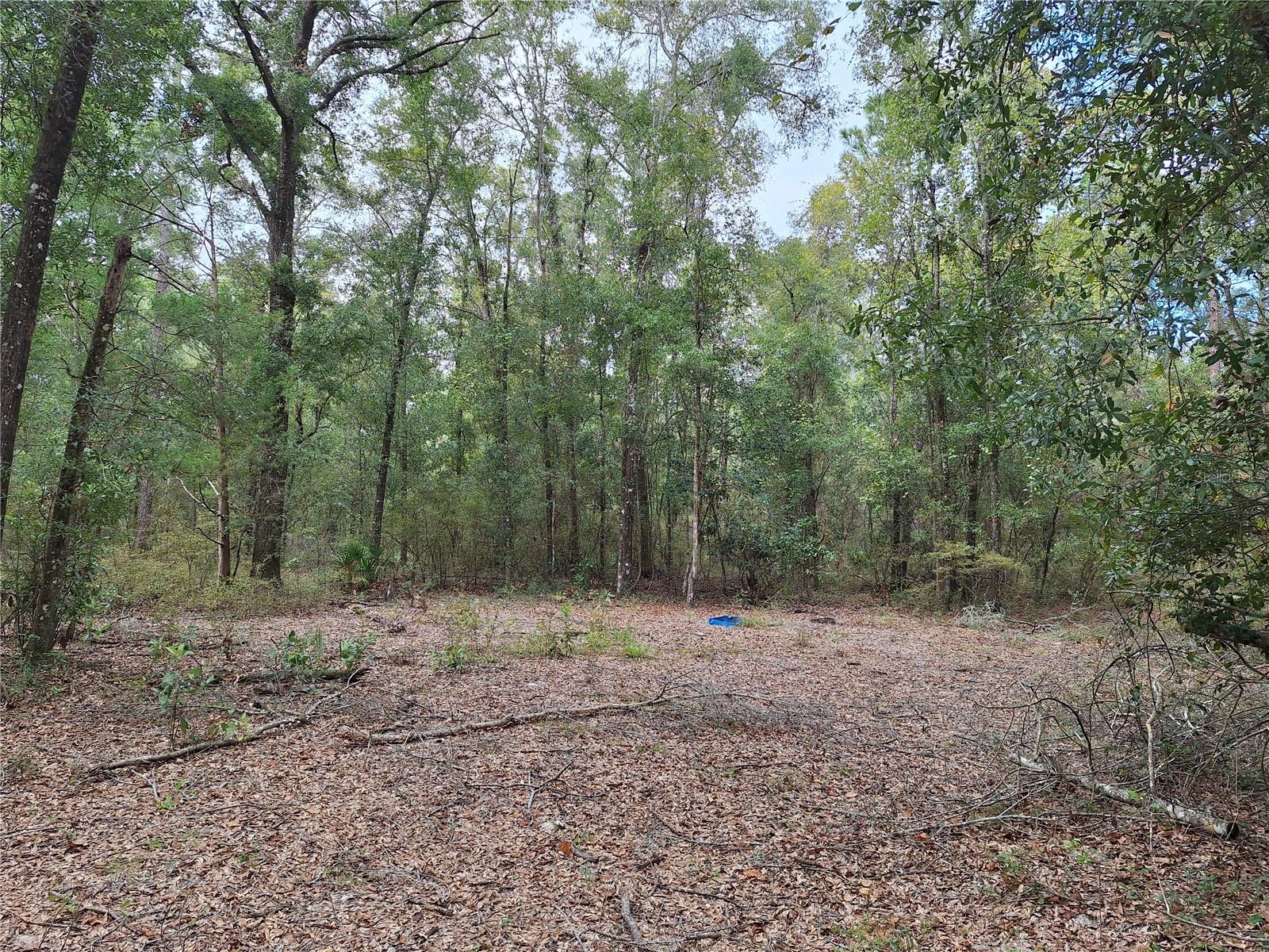 Image 10 of 28 For 000 County Rd. 138