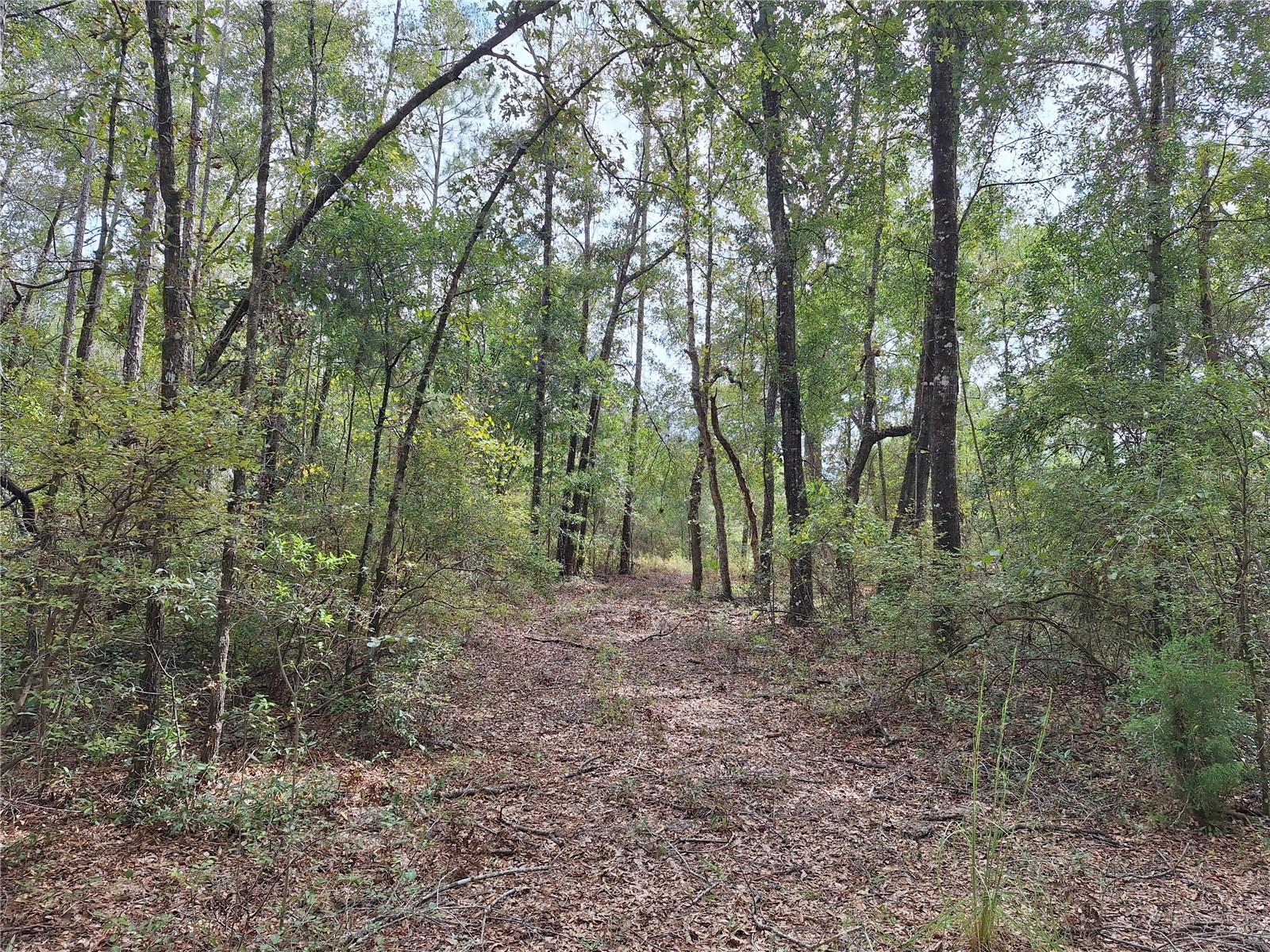 Image 11 of 28 For 000 County Rd. 138