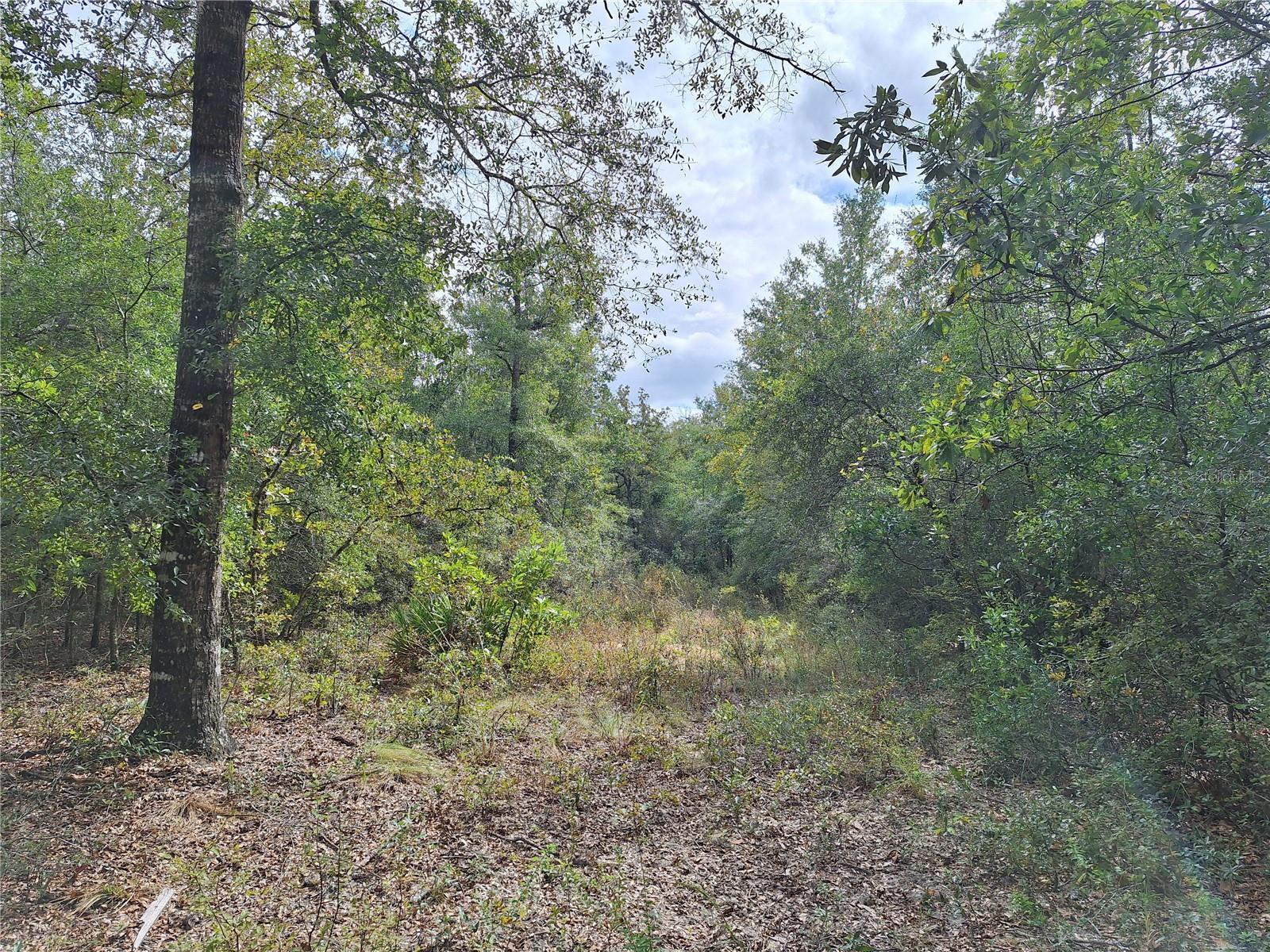 Image 12 of 28 For 000 County Rd. 138