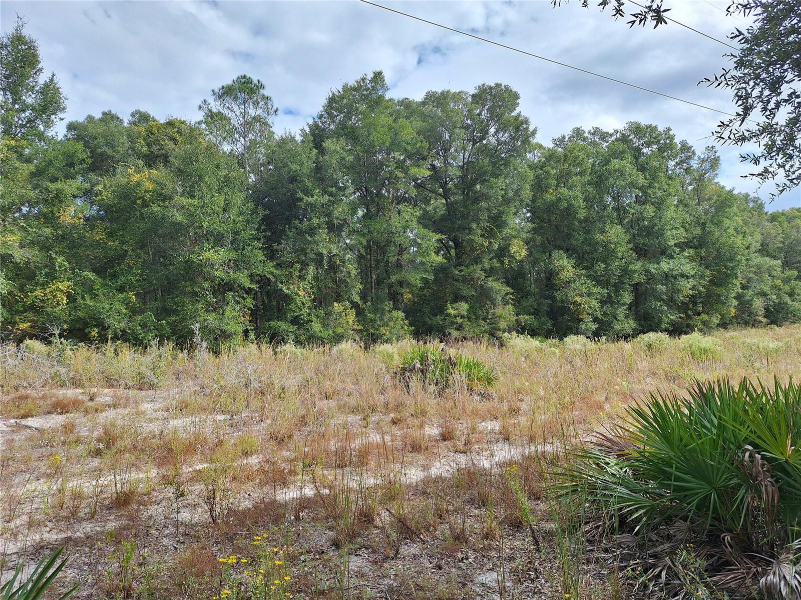 Image 13 of 28 For 000 County Rd. 138