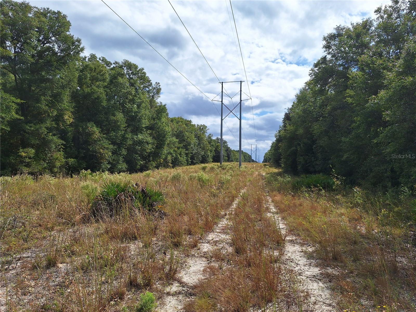 Image 14 of 28 For 000 County Rd. 138