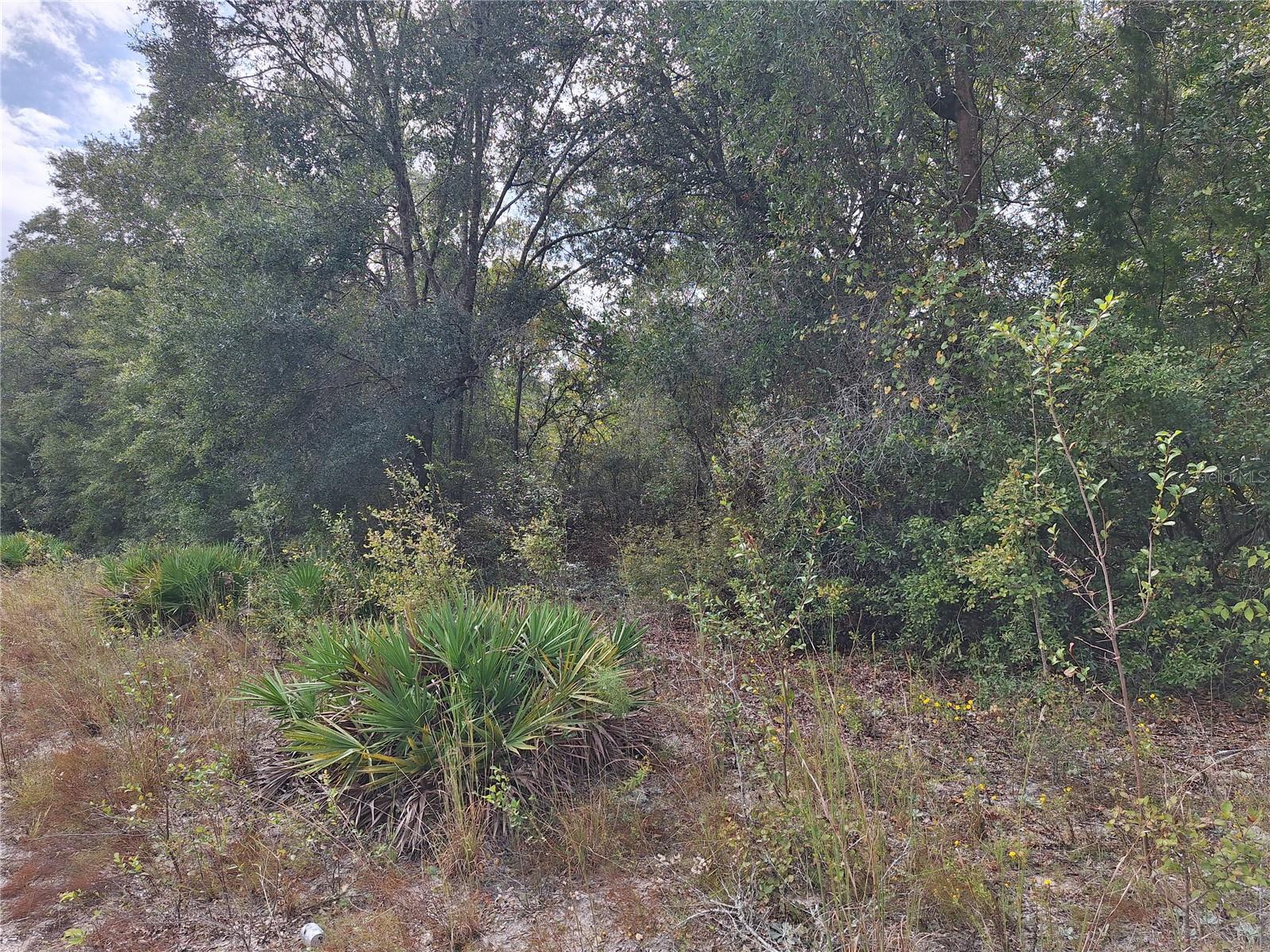 Image 16 of 28 For 000 County Rd. 138