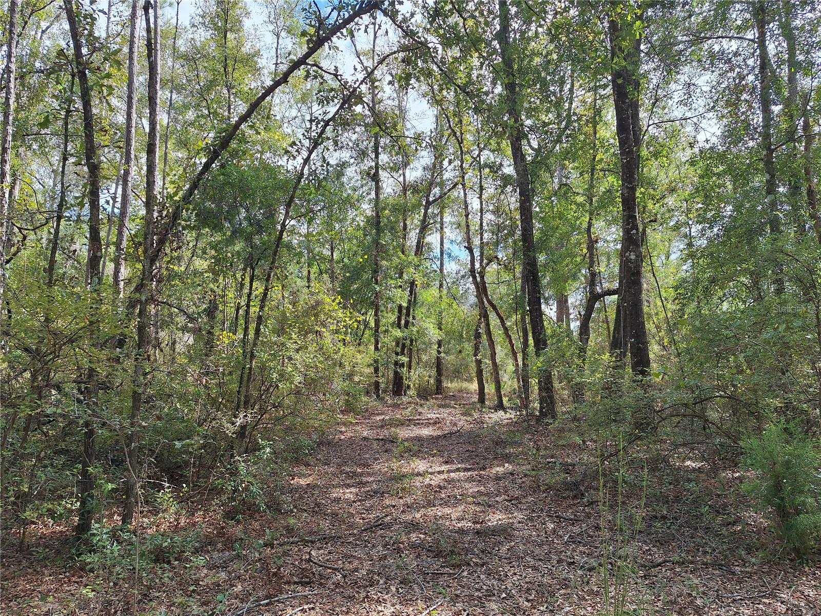 Image 17 of 28 For 000 County Rd. 138