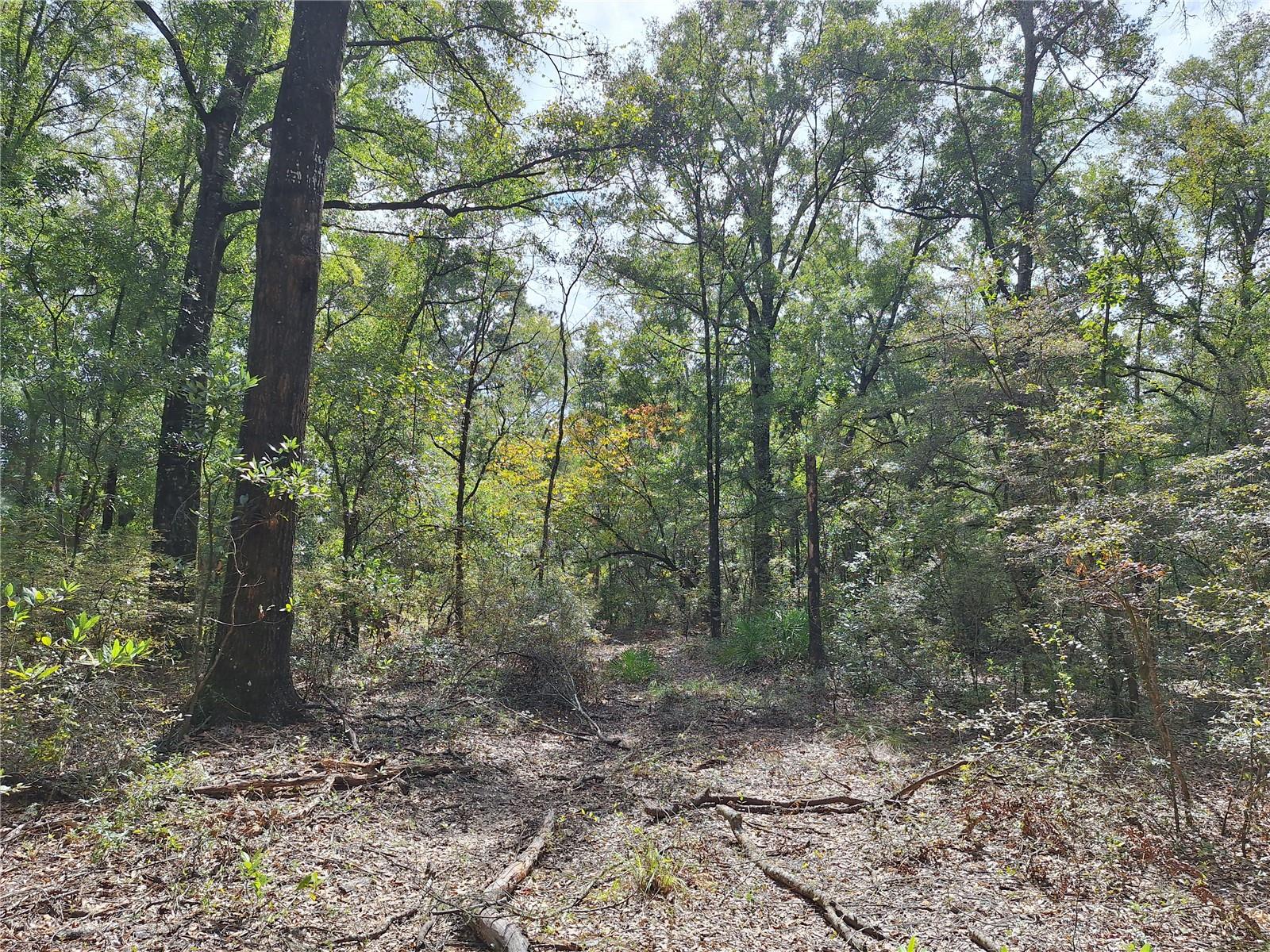 Image 18 of 28 For 000 County Rd. 138