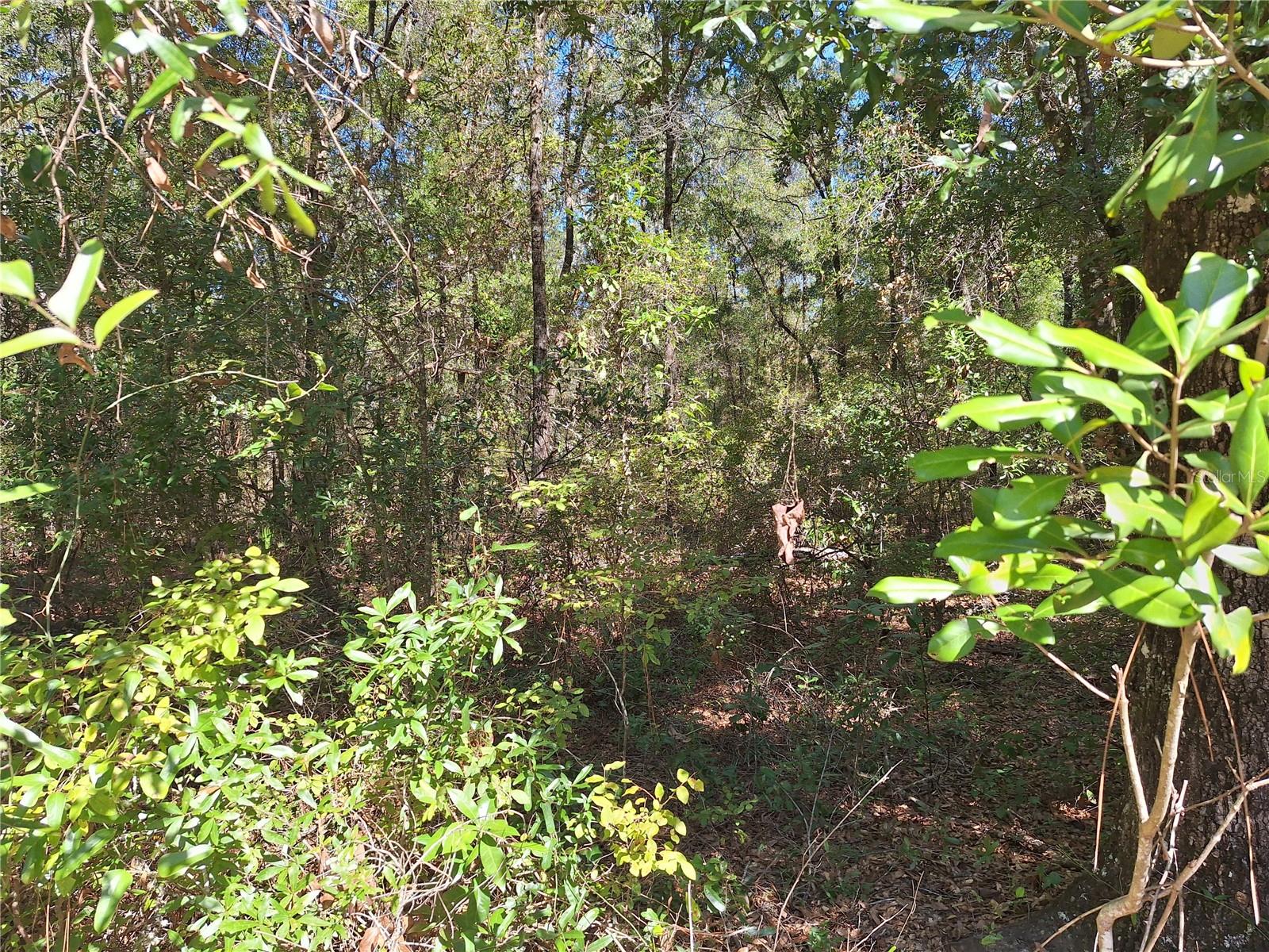 Image 5 of 28 For 000 County Rd. 138