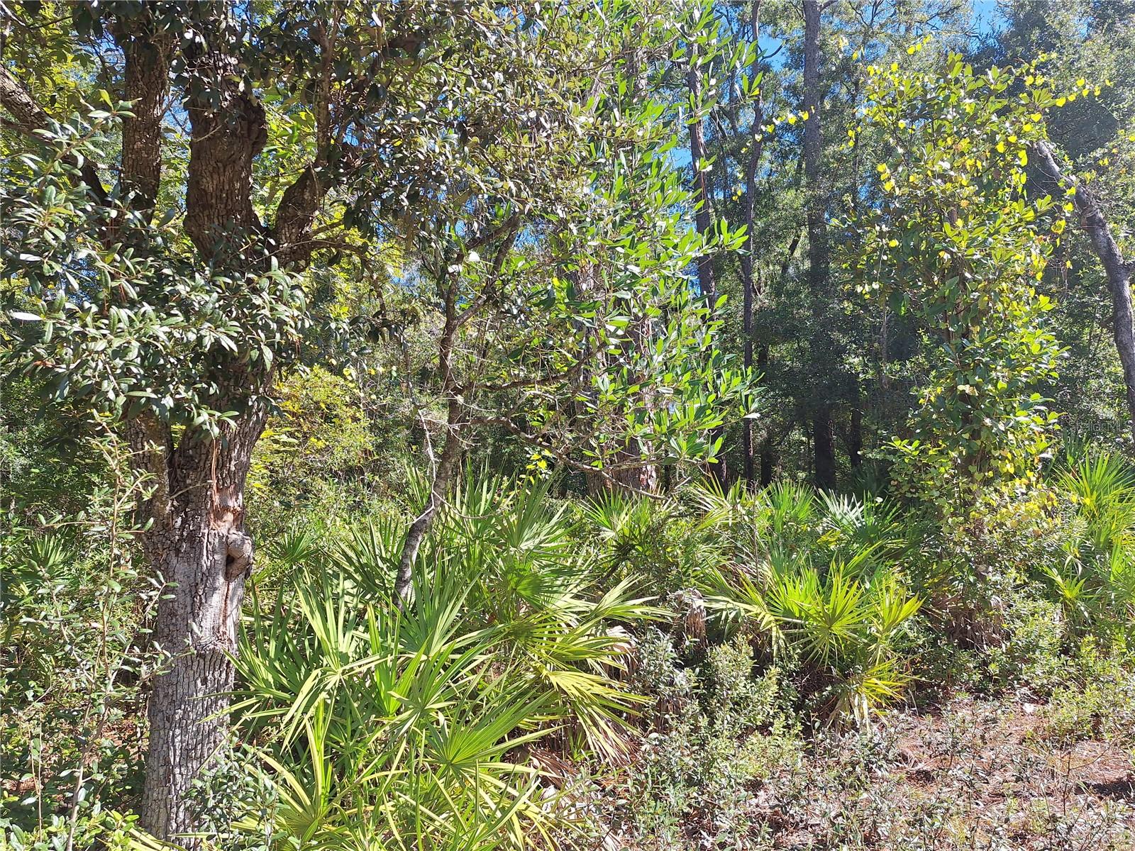 Image 6 of 28 For 000 County Rd. 138