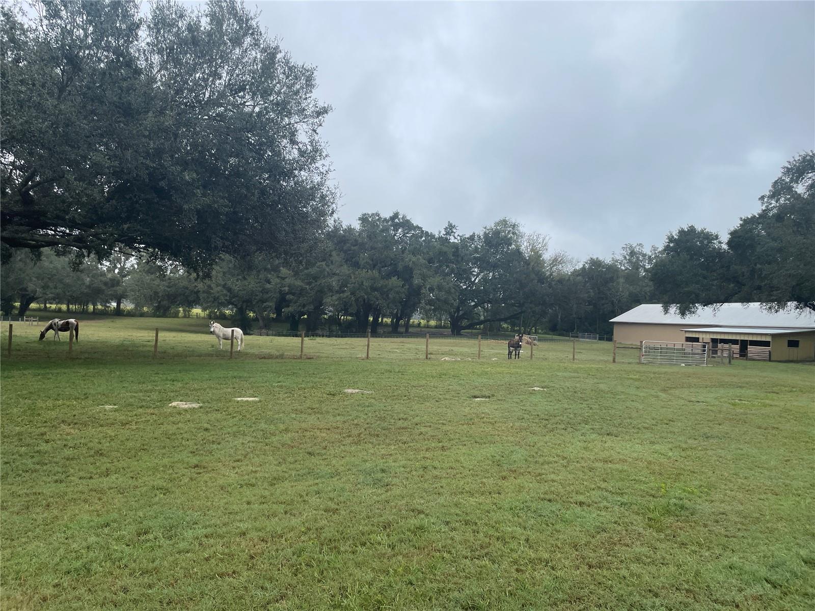 Image 16 of 29 For 4107 State Road 45