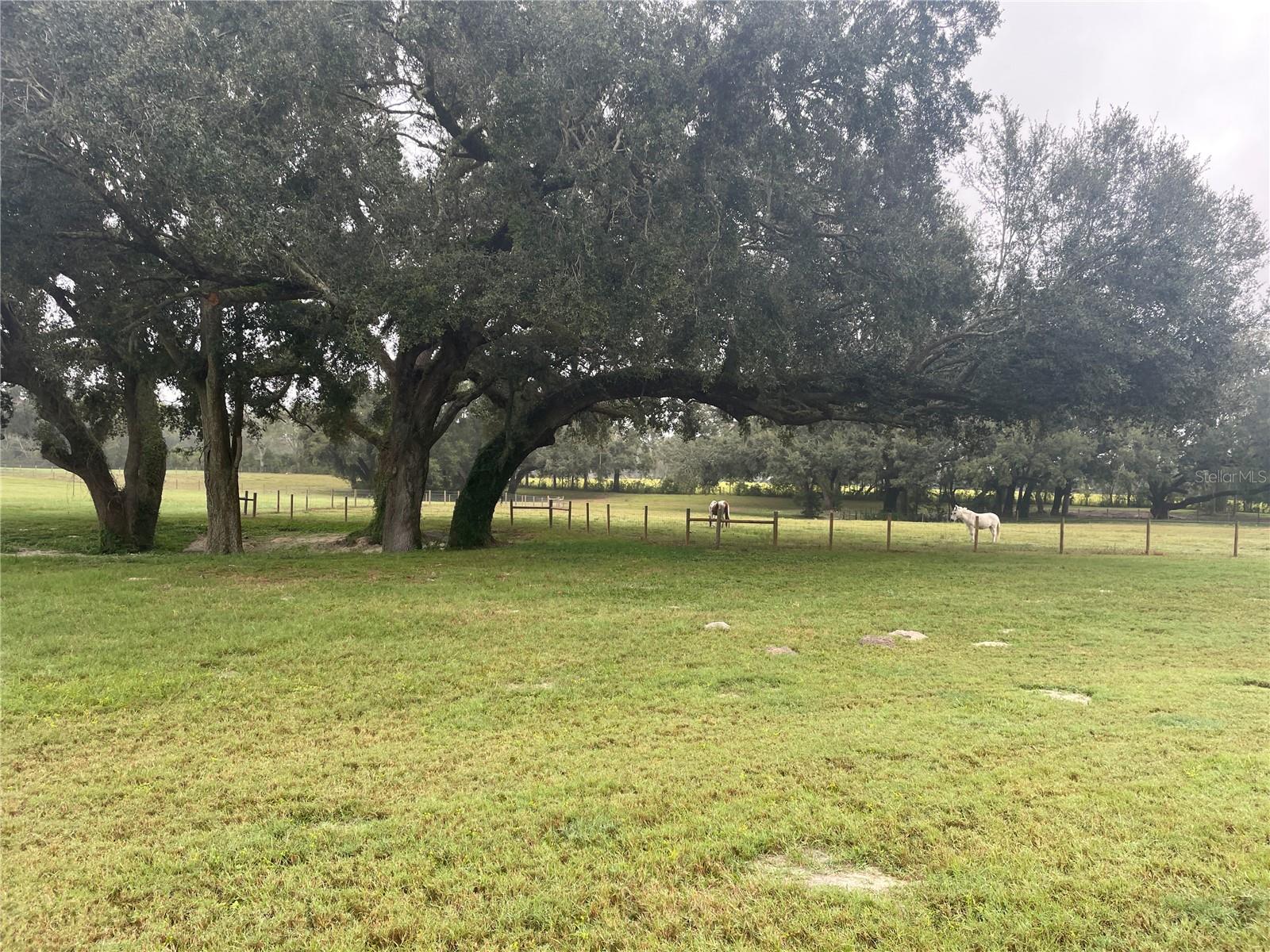 Image 5 of 29 For 4107 State Road 45