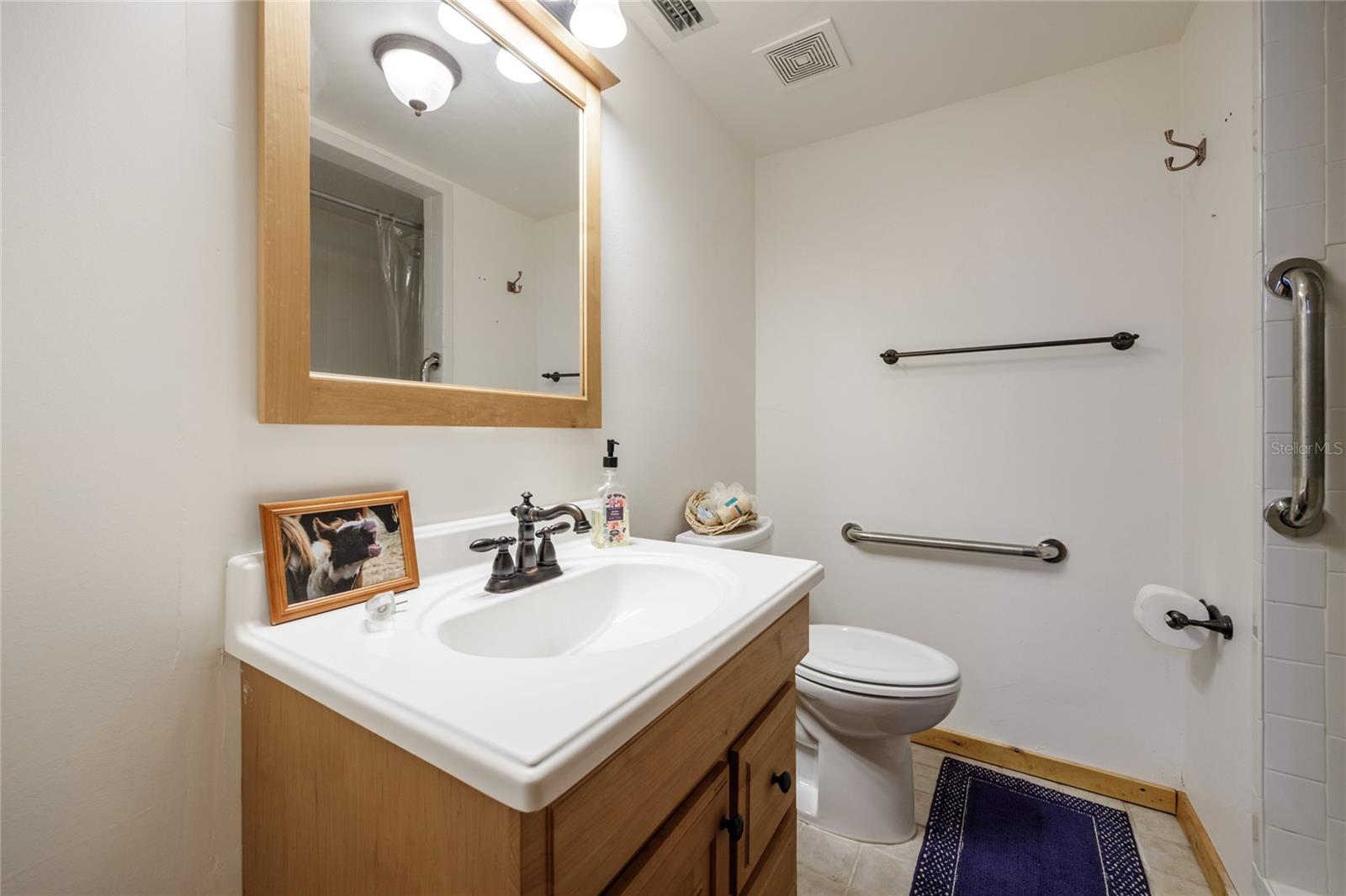 Image 55 of 73 For 239 Riley Lake Drive