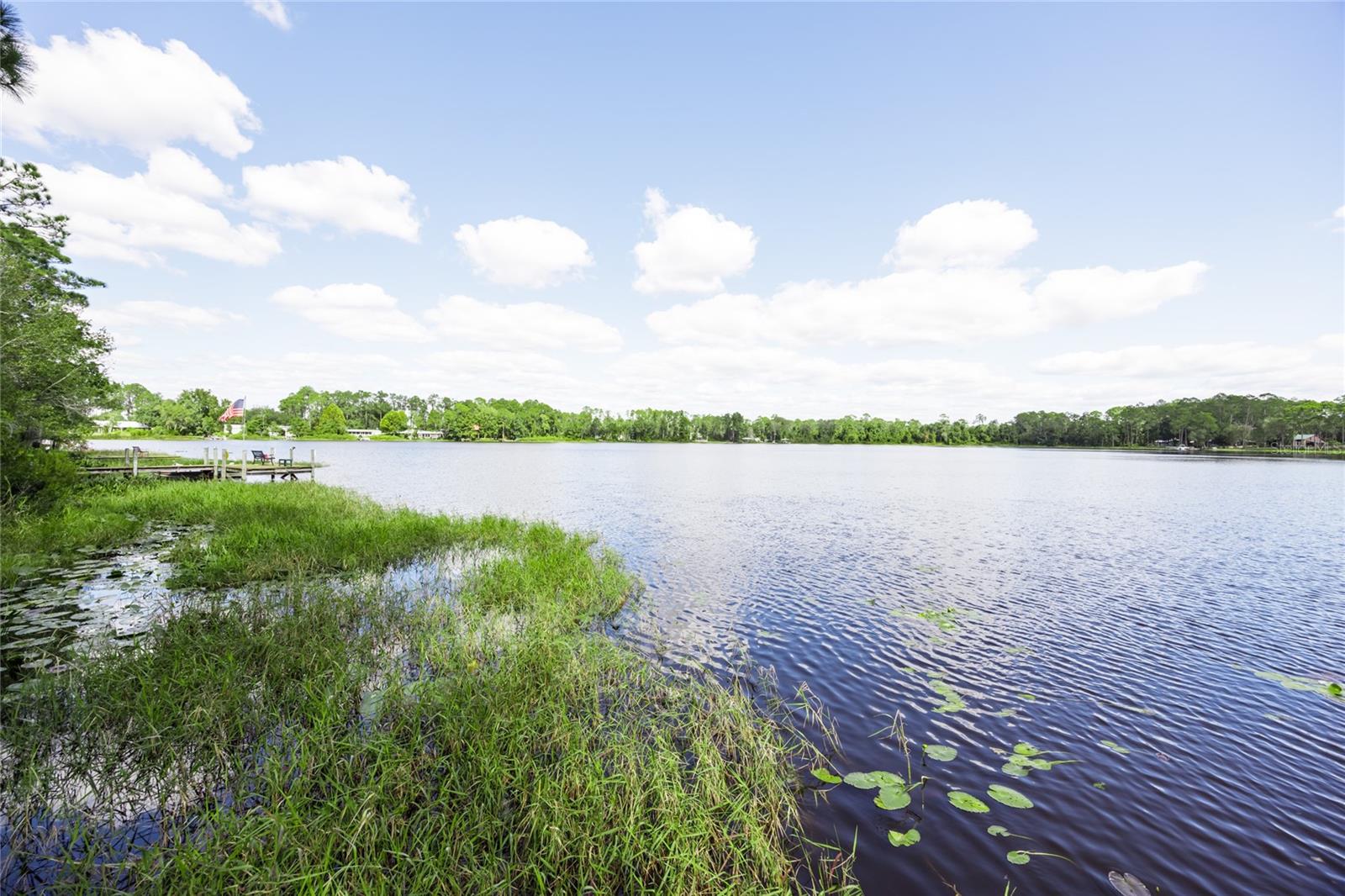 Image 65 of 73 For 239 Riley Lake Drive