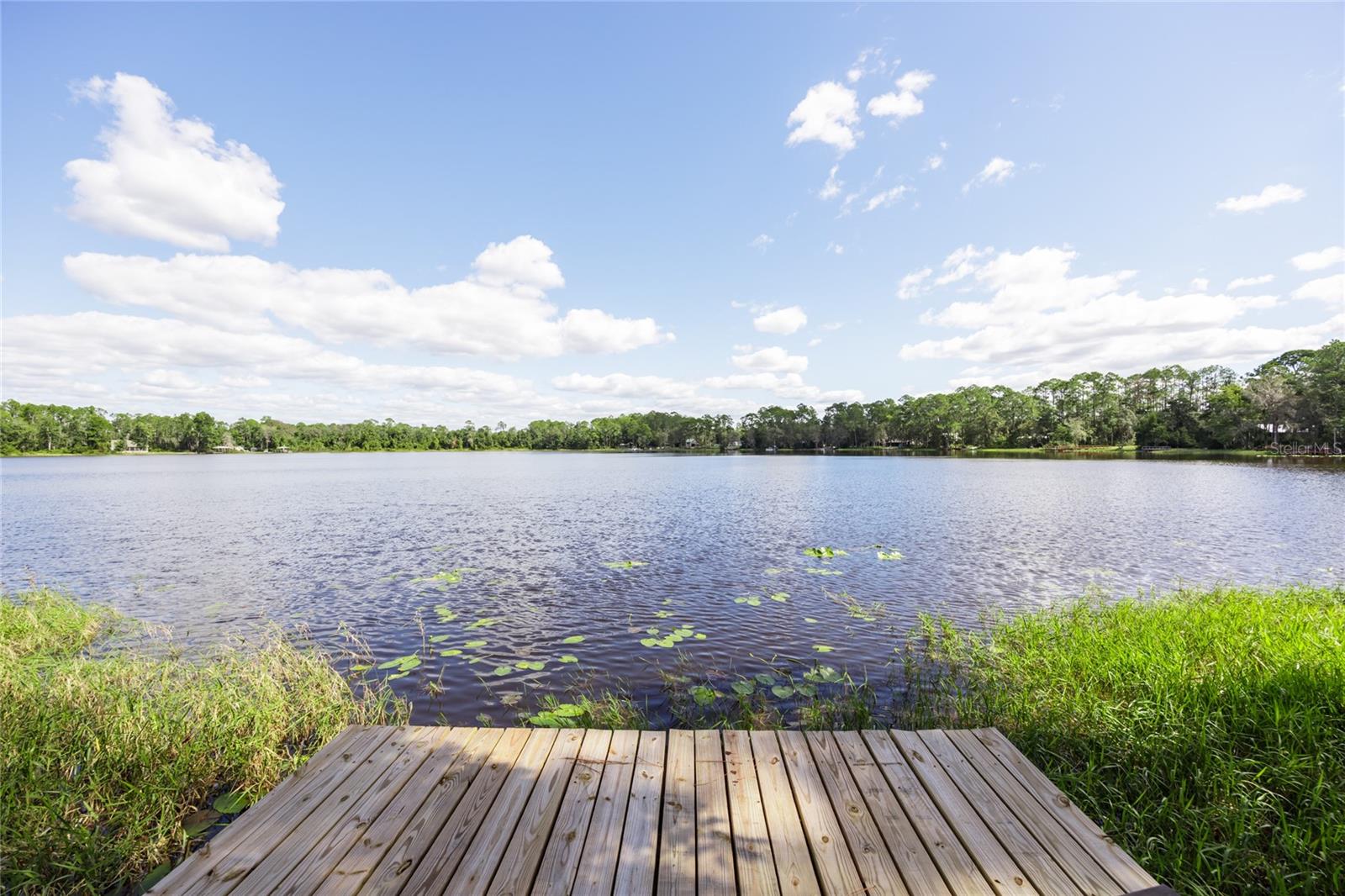 Image 66 of 73 For 239 Riley Lake Drive