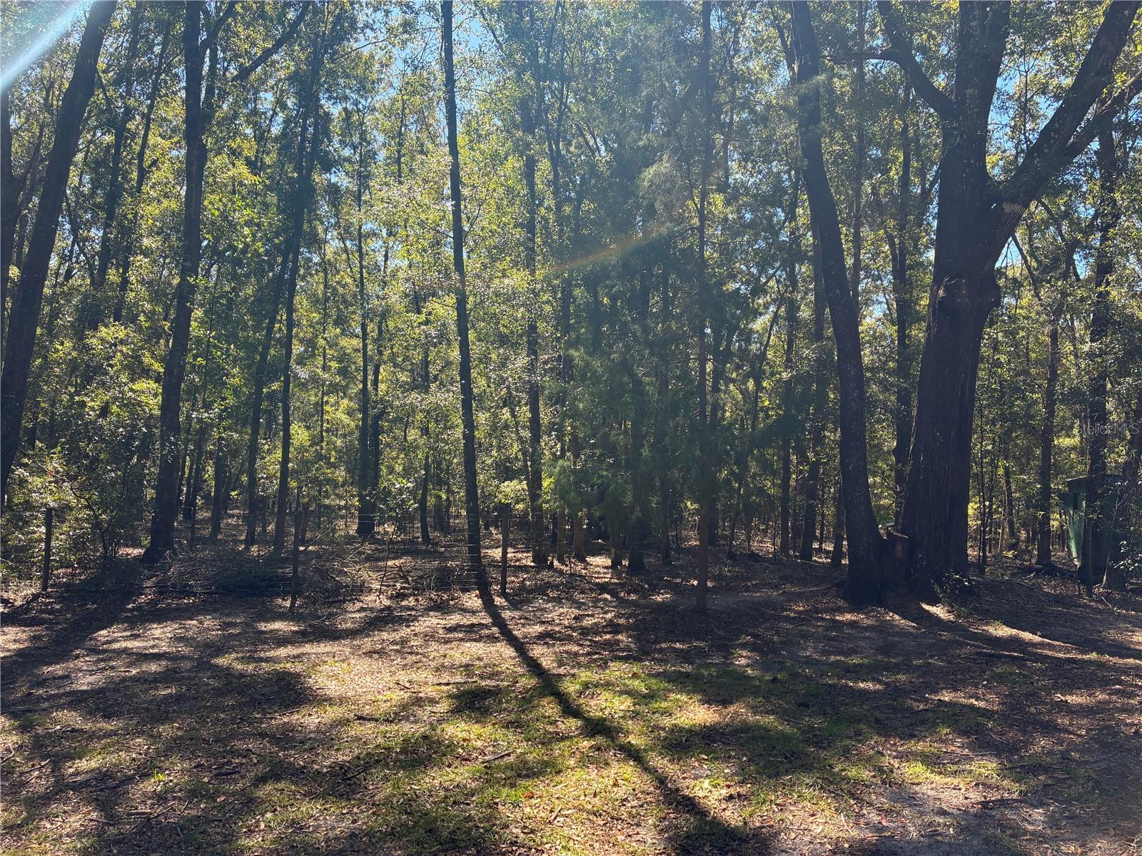 Image 21 of 25 For 19582 212th Street