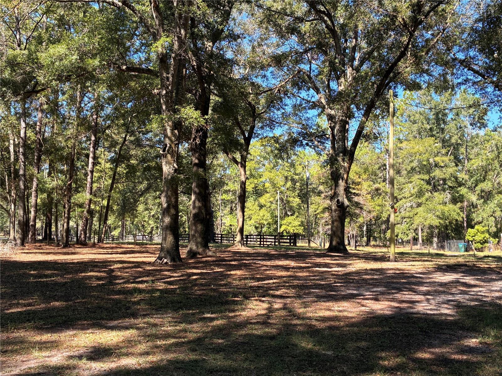 Image 23 of 25 For 19582 212th Street