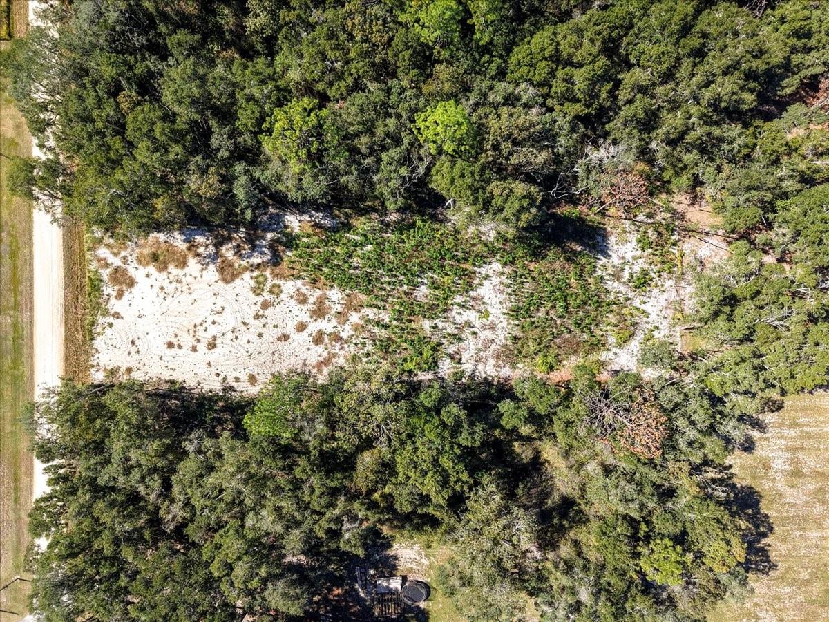 Image 11 of 20 For 162nd Street