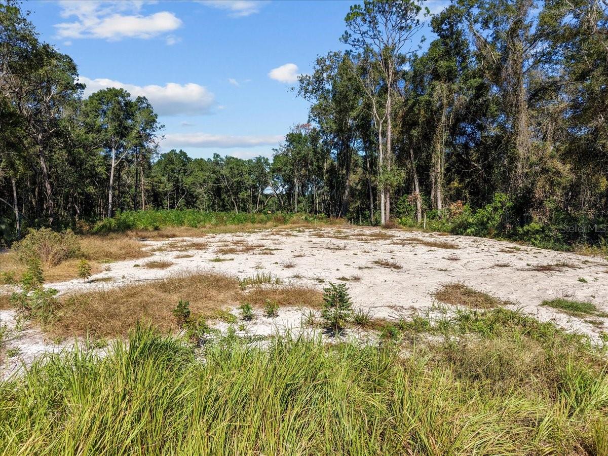 Image 17 of 20 For 162nd Street