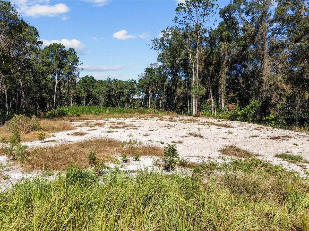 Image 18 of 20 For 162nd Street