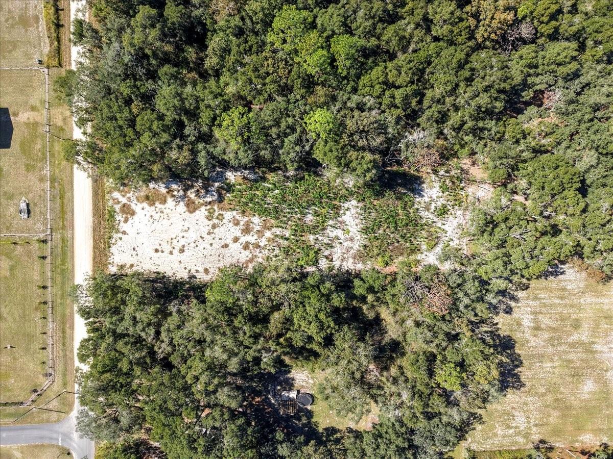 Image 4 of 20 For 162nd Street