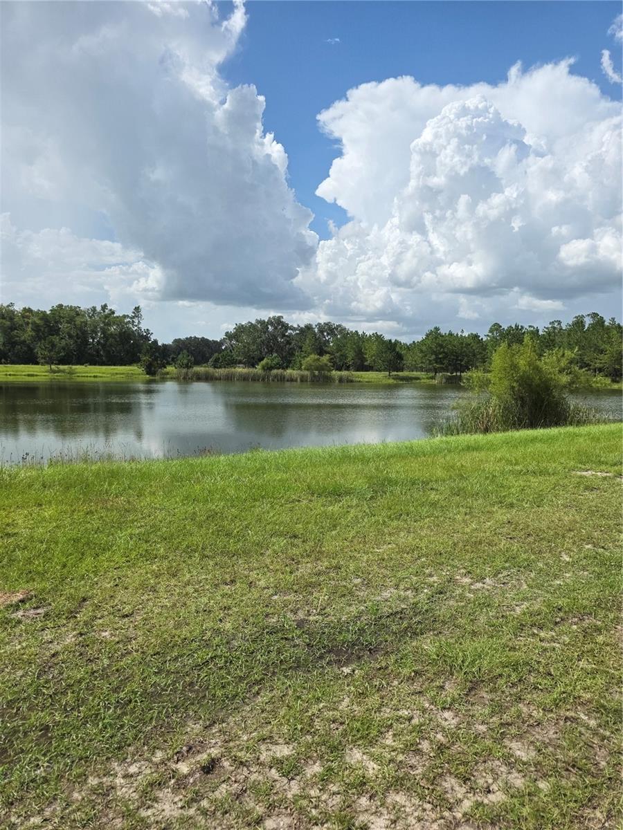 Listing photo id 10 for 747 Rosemary Drive