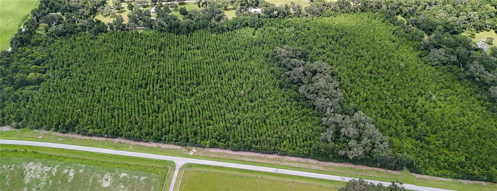 Details for Tbd County Road 346, ARCHER, FL 32618