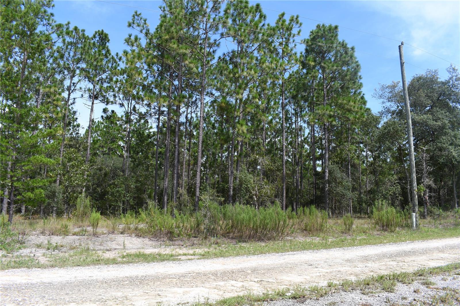 Details for Tbd 136th Avenue, DUNNELLON, FL 34431