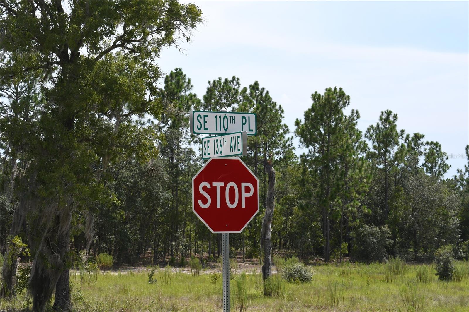 Image 4 of 9 For Tbd 136th Avenue