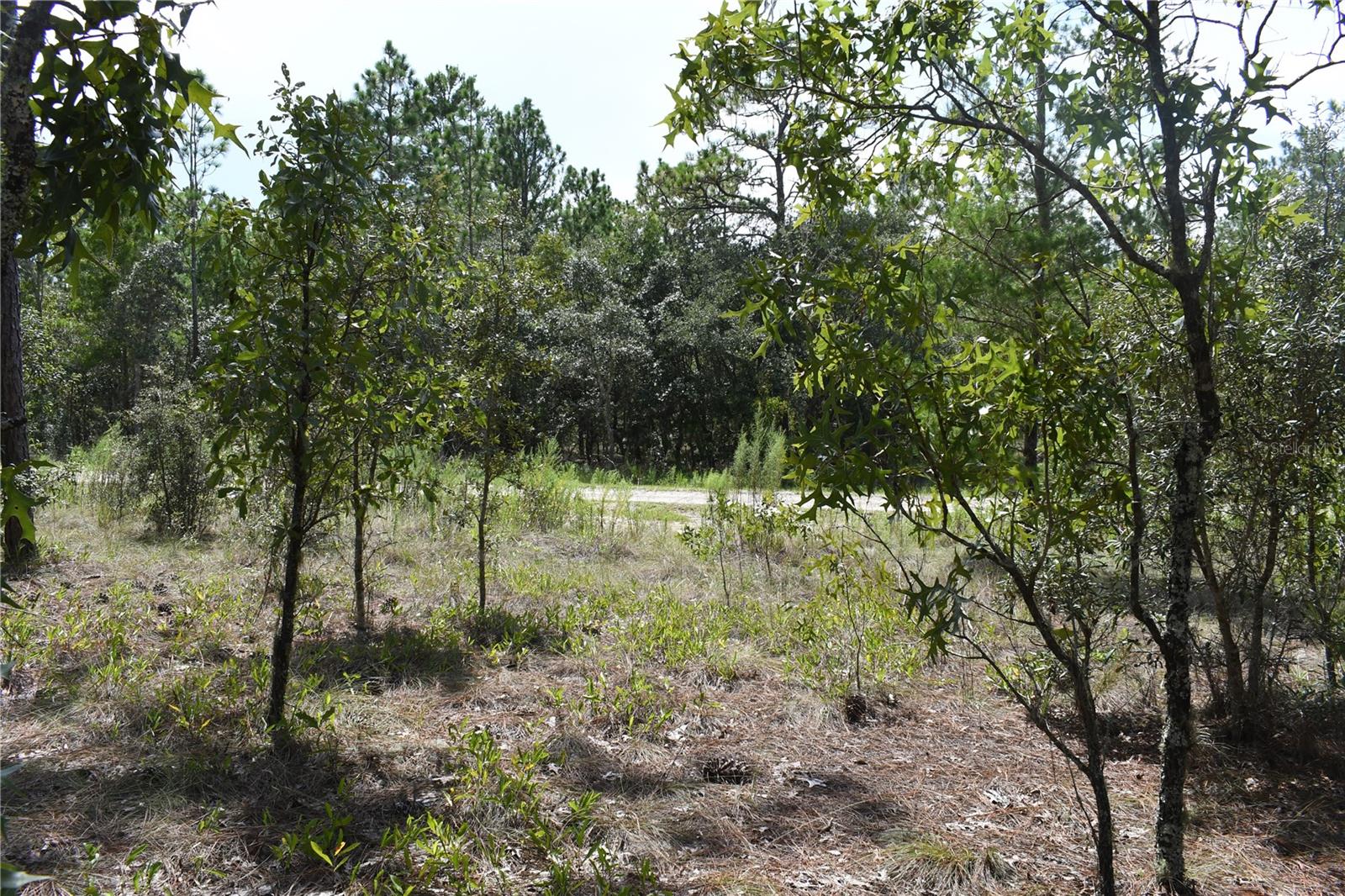 Image 8 of 9 For Tbd 136th Avenue